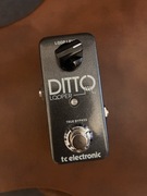 Ditto Looper TC Electronics