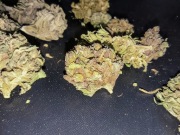 Susz CBD MIX fenotypów 8.25% wyprzedaż promocja 500g okazja 