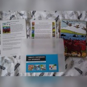 Karty Coachingowe ODPORNOŚĆ czy OPORNOŚĆ