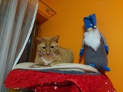 Skrzat Krasnal Rękodzieło Zabawka Ozdoba 