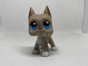 LPS Littlest pet shop pop dog niemiecki #184
