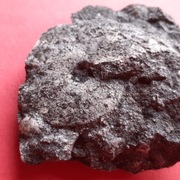  Amonit lissaceratoides - skamieniałość