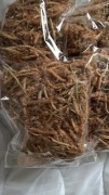 Pędy sosny suszone, naturalne-100 gram