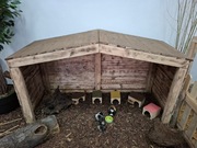 Duży domek dla królików lub świnek morskich