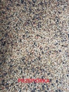 Karma mieszanka zbóż dla przepiórek 20kg