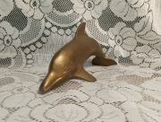 PIĘKNY MOSIĘŻNY DELFIN