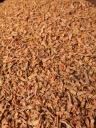 Suszona marchew 1kg 2026 marchewka naturalna z suszarni grys plaster słupek