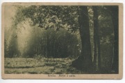 KRYNICA-MOTYW Z PARKU