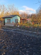 Ogród dzierżawa ROD sprzedam