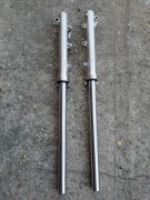 Lagi do Yamaha virago 535