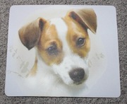Podkładka pod myszkę Jack Russell Terrier