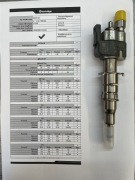 Wtryskiwacz BMW N43 N53 sprawdzone wydruk 7589048