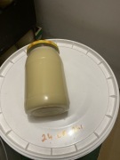 Miód wielkokwiatowy wiosenny / rzepakowy wiadro, hurt