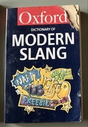 Dictionary of Modern Slang John Ayto