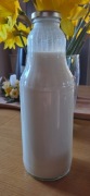 Kefir Kozi 1L na grzybku tybetańskim