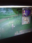 Konto Last chaost pl Pangemia 