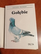Gołębie. Leksykon Przyrody
