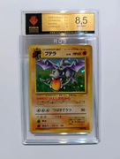 Aerodactyl 142 - Vintage karta - 1997r - RUBIN 8,5 