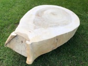 Blat plaster z pnia na stolik