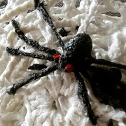 Pająk w pajęczynie do powieszenia