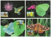 05-MC11-Guersey,WWF,1997,Motyle