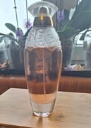 ECoudray Musc & Fresia Frezjowo piżmowa NISZA