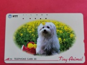 JAPONIA / STARA /    - Karta telefoniczna  /  PSY