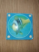 Książka książeczka z zwierzątkami morskimi 