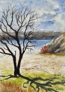 Cień w słoneczny dzień Original Akwarela A4