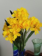 bukiet żonkili narcyzów 