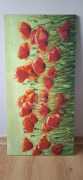 Duzy obraz maki polne  100 cm na 50 cm