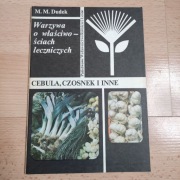 Cebula, czosnek i inne Maria Magdalena. Dudek