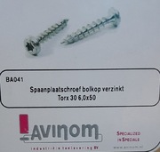 Wkręt do drewna i tworzyw sztucznych Torx . Cena za 100szt