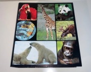 Encyklopedia zwierząt od A do Z - duża ilość kart 