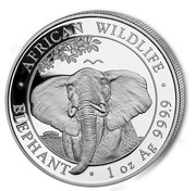 African Wildlife Słoń Somalijski 1 uncja Srebra 2021