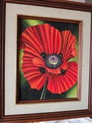 Obraz mak Świtała, malarstwo współczesne .olej