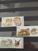 Zestaw znaczków koty