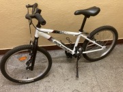 Rower Rockraider 20"