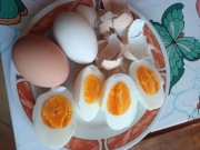 Jajka z wolnego wybiegu 10szt.