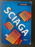 Ściąga Liceum, lektury i wiersze streszczenia, Greg