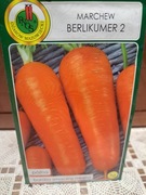Marchew nasiona 'Berlikumer 2'