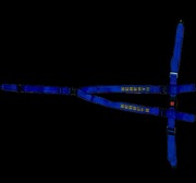 SCHROTH pasy sportowe