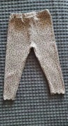 Legginsy spodnie zara panterka 98