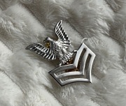 Przypinka - USN - Petty Officer First Class E-6 (Cap Device) PO1 (silver)