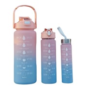 ZESTAW 3 BUTELEK NA WODĘ BIDONY 0.3L 1L 2L