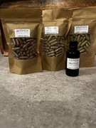 Kuracja Hulda Clark Kapsułki PIOŁUN GOŹDZIK WROTYCZ ORZECH zioła pasożyty