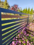 Profile 40x20 60x20 80x20 100x20 120x20 200x20 RAL