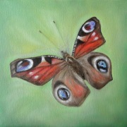 Motylek ręcznie malowany - obraz olejny na płótnie - 20x20 cm