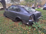 Drzwi octavia 2 9901 