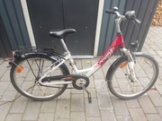 Pegasus 24'' alu damka